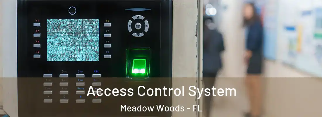 Access Control System Meadow Woods - FL