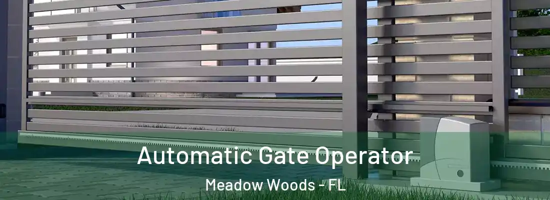 Automatic Gate Operator Meadow Woods - FL