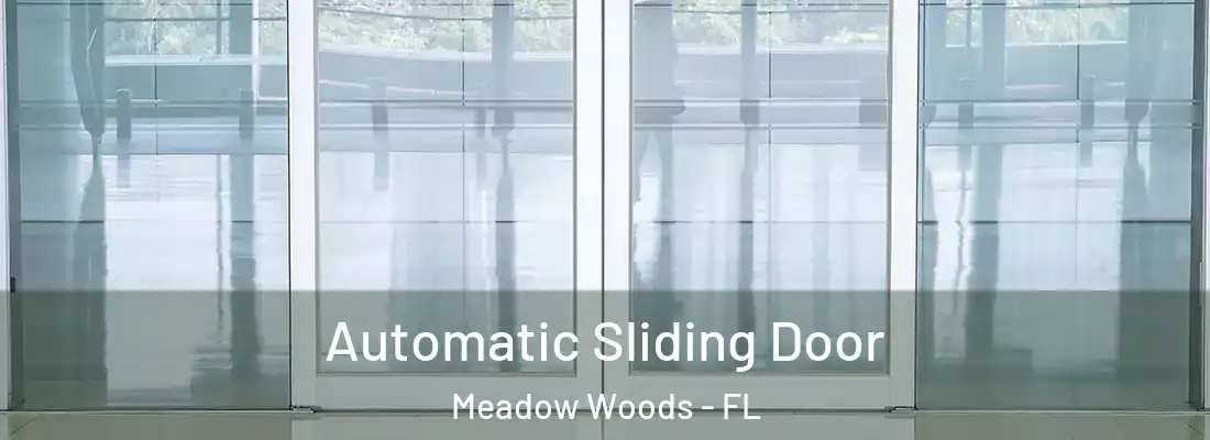 Automatic Sliding Door Meadow Woods - FL