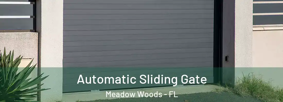 Automatic Sliding Gate Meadow Woods - FL