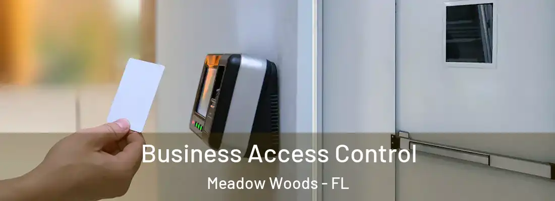 Business Access Control Meadow Woods - FL