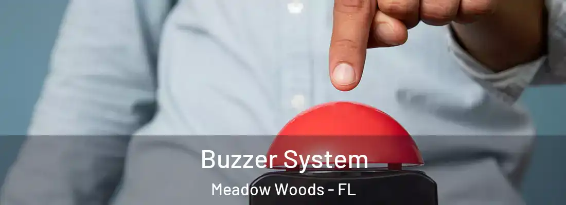 Buzzer System Meadow Woods - FL