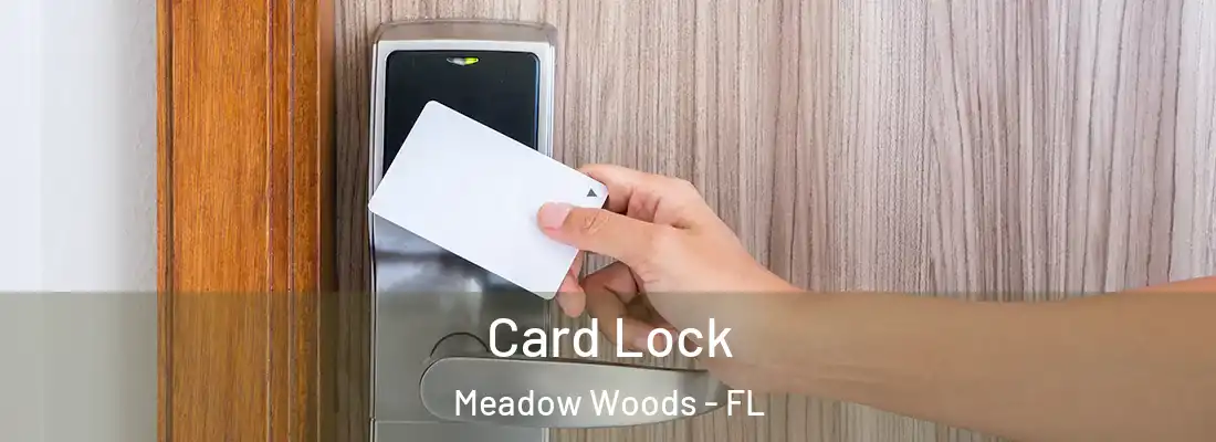 Card Lock Meadow Woods - FL
