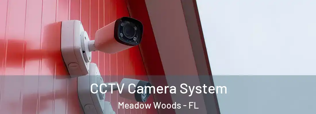 CCTV Camera System Meadow Woods - FL