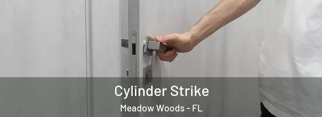  Cylinder Strike Meadow Woods - FL