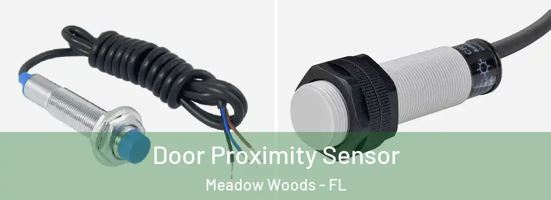 Door Proximity Sensor Meadow Woods - FL