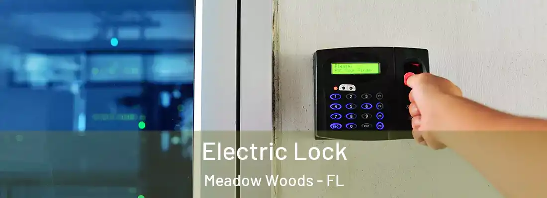  Electric Lock Meadow Woods - FL