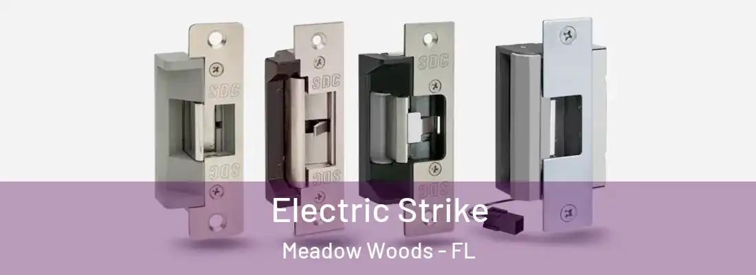 Electric Strike Meadow Woods - FL