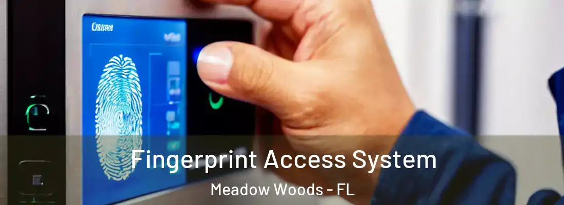 Fingerprint Access System Meadow Woods - FL