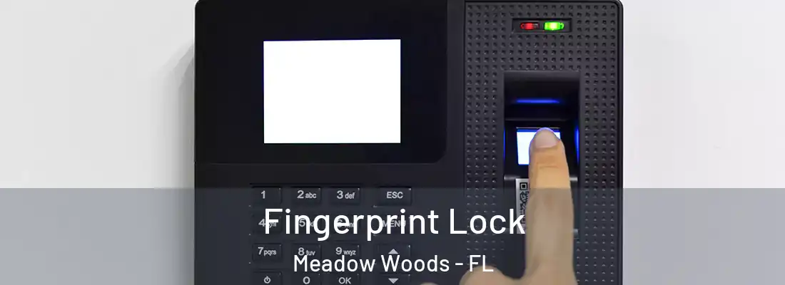 Fingerprint Lock Meadow Woods - FL