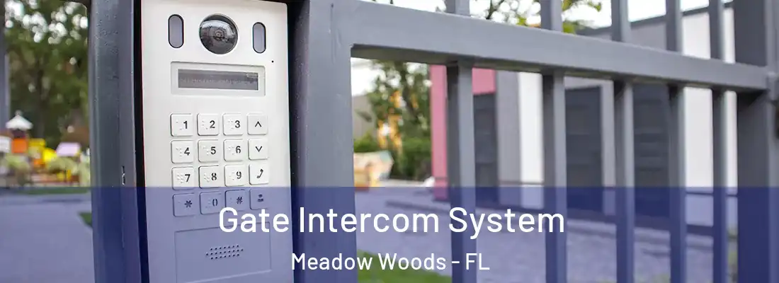 Gate Intercom System Meadow Woods - FL