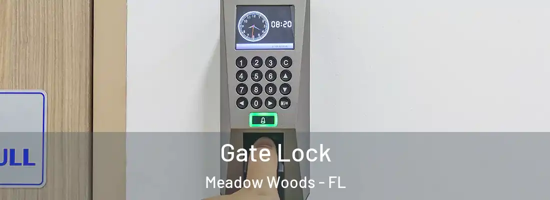 Gate Lock Meadow Woods - FL