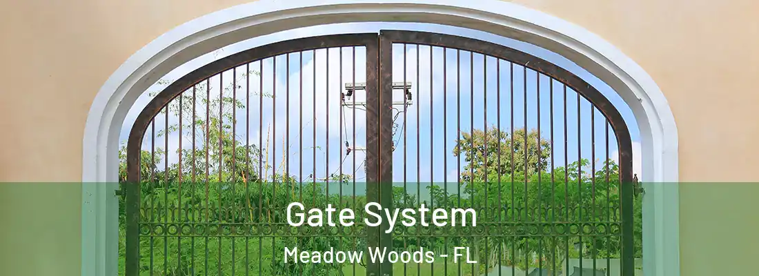  Gate System Meadow Woods - FL
