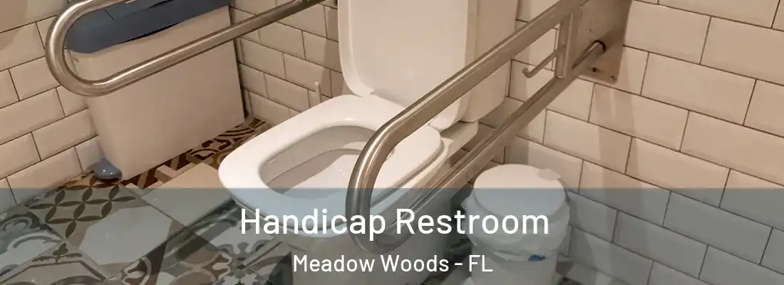  Handicap Restroom Meadow Woods - FL