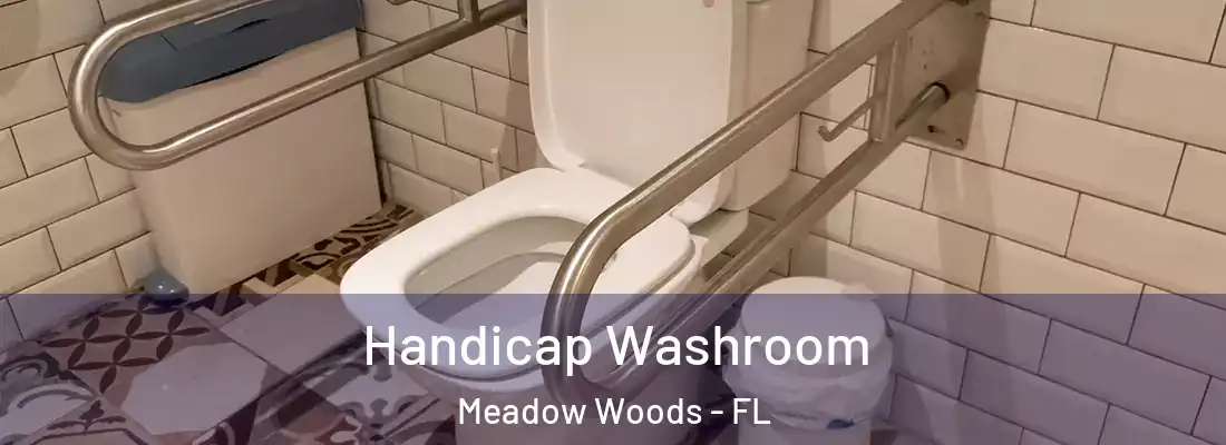 Handicap Washroom Meadow Woods - FL