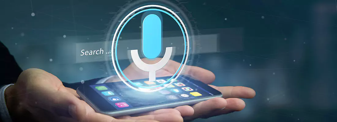 Enhance Security with Voice Recognition Access Systems in Meadow Woods, FL