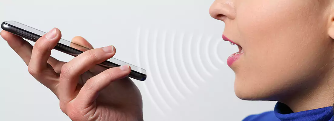 Residential and Commercial Voice Recognition Access Solutions in Meadow Woods, FL