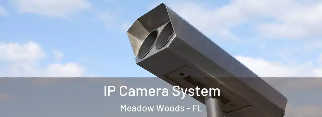 IP Camera System Meadow Woods - FL