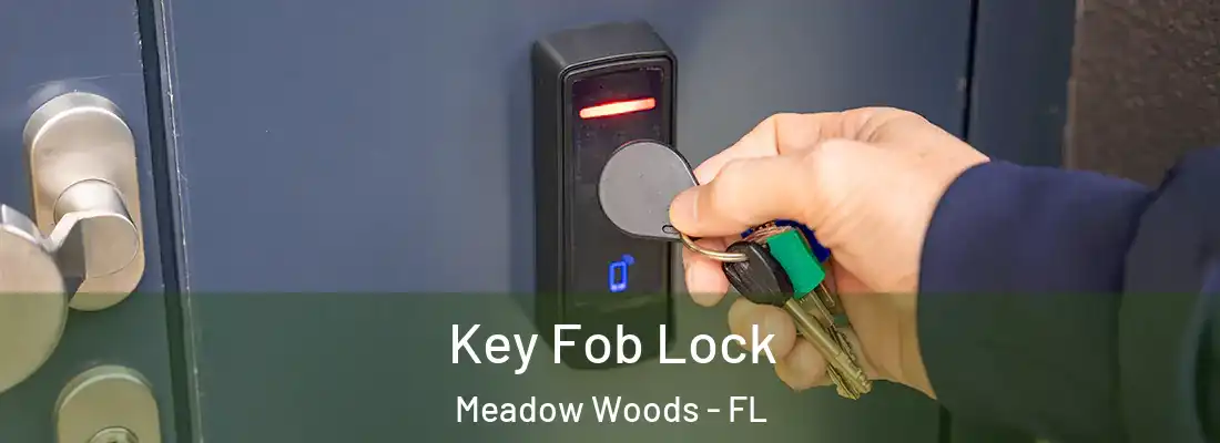 Key Fob Lock Meadow Woods - FL