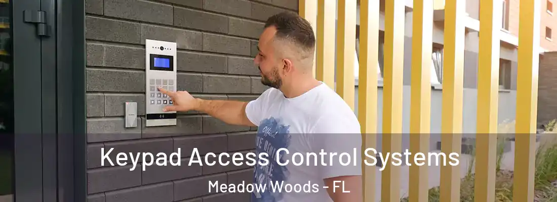 Keypad Access Control Systems Meadow Woods - FL