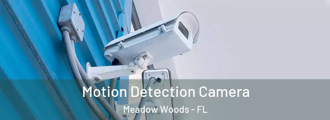 Motion Detection Camera Meadow Woods - FL