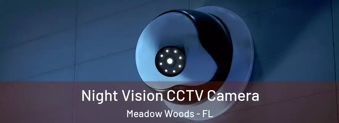 Night Vision CCTV Camera Meadow Woods - FL