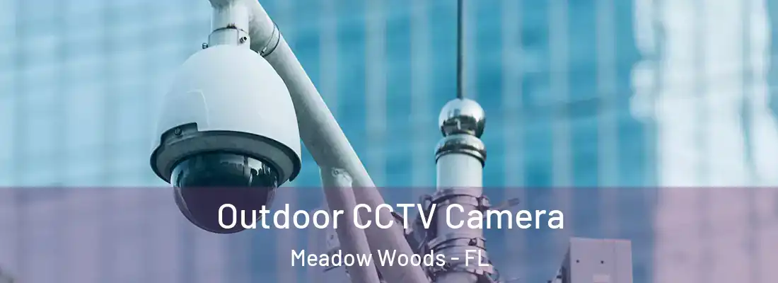 Outdoor CCTV Camera Meadow Woods - FL