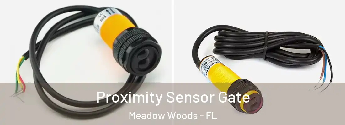Proximity Sensor Gate Meadow Woods - FL