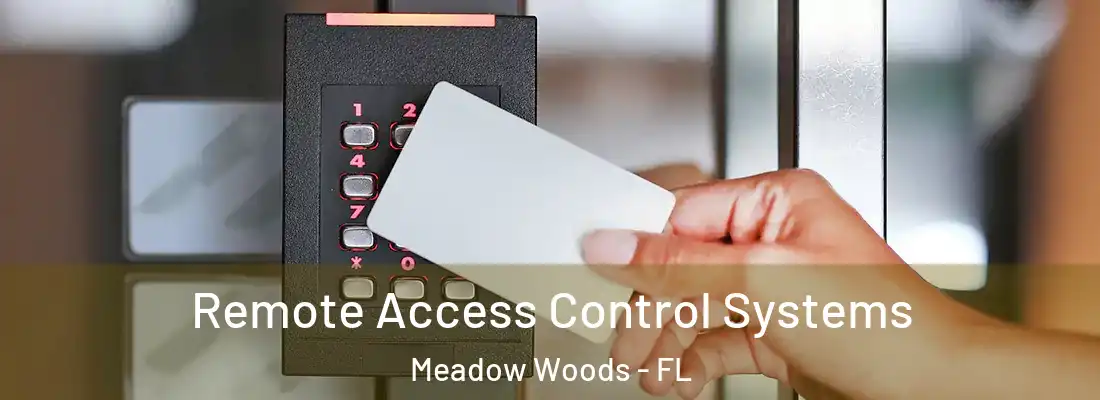 Remote Access Control Systems Meadow Woods - FL