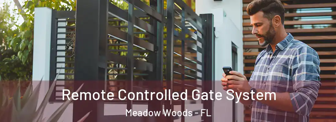 Remote Controlled Gate System Meadow Woods - FL