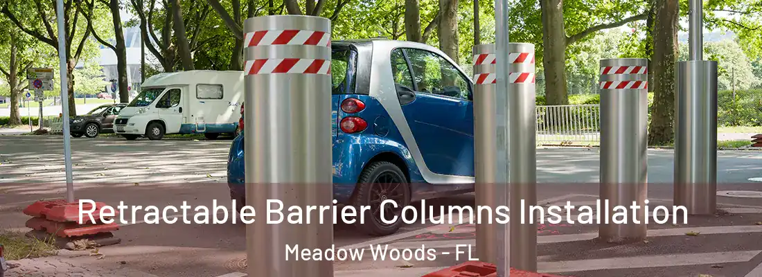 Retractable Barrier Columns Installation Meadow Woods - FL