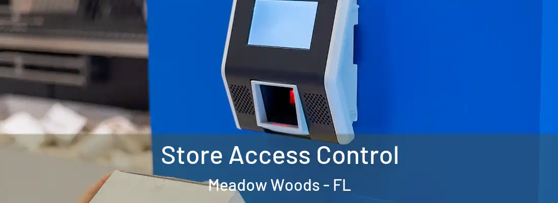 Store Access Control Meadow Woods - FL