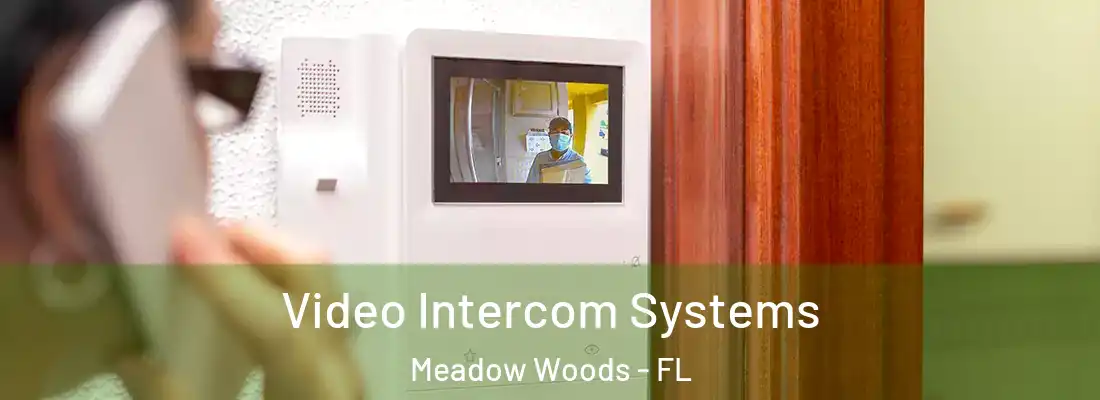 Video Intercom Systems Meadow Woods - FL