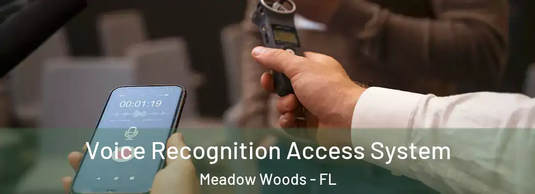 Voice Recognition Access System Meadow Woods - FL